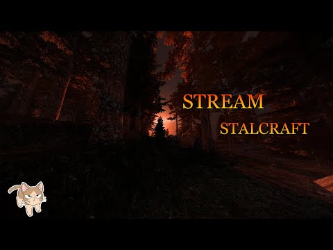 Видео: 🖤 Stream -  STALCRAFT  * Как то поздноватенько немного *