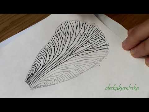 Видео: Готовлю шаблон для ириса. Preparing a template for iris.