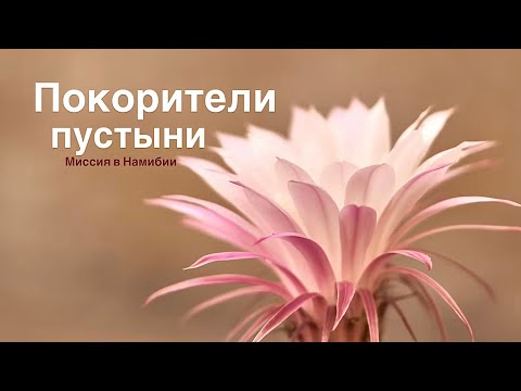 Видео: Покорители пустыни - Миссия в Намибии - Eroberer der Wüste - Mission Namibia