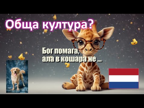 Видео: Единственото Българско Куиз Предизвикателство: Обща култура, Знамена, Поговорки, Подправки и Животни