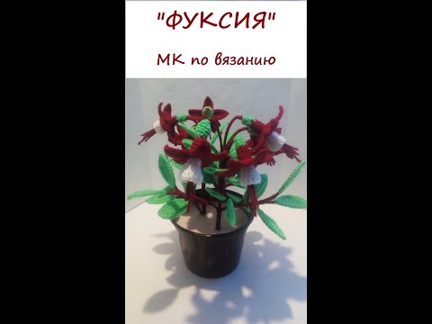 Видео: "ФУКСИЯ"  МК по вязанию крючком