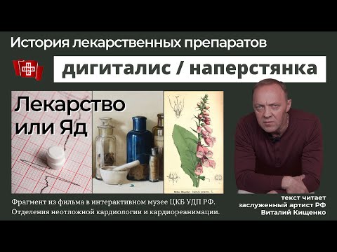 Видео: Дигиталис для лечения сердечной недостаточности (Наперстянка) / История лекарственных препаратов
