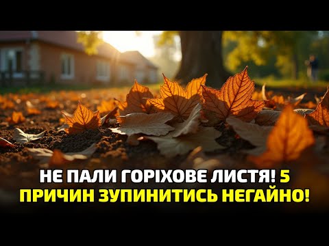 Видео: Горіхове листя не сміття: одна помилка — і сад гине!