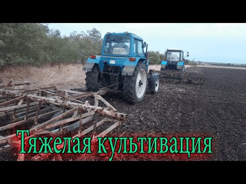 Видео: Культивация в два трактора! Суш нереальная!! МтЗ 80 в деле!