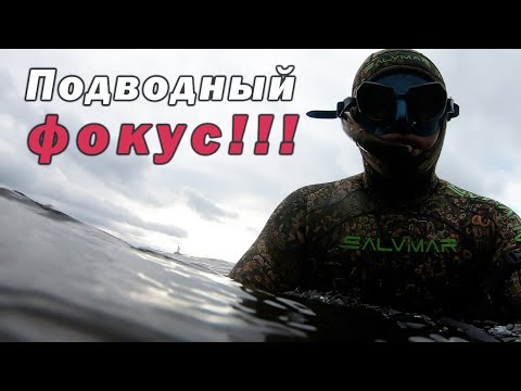 Видео: ОСЕННЯЯ ПОДВОДНАЯ ОХОТА! ТЕСТ НОВОГО СНАРЯЖЕНИЯ!!!