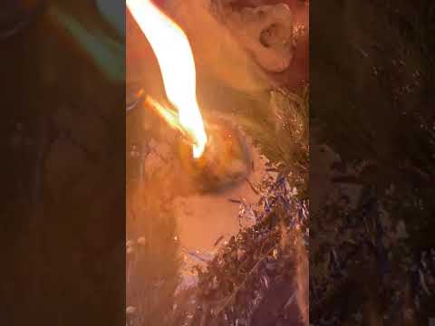 Видео: ВЫЖИГАЕМ КРАДНИК КРАСОТЫ🍀🍀🍀🪬