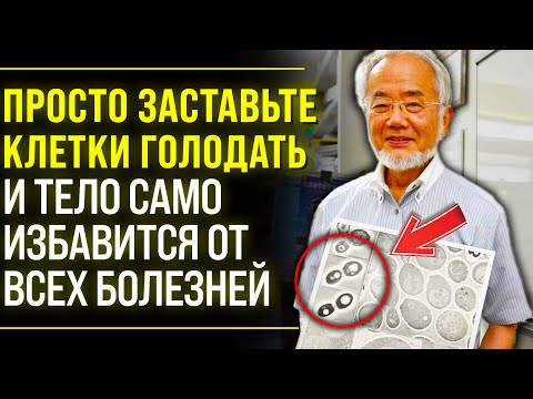 Видео: ВЕЛИЧАЙШЕЕ ОТКРЫТИЕ 21 ВЕКА! Гениальный Ученый Есинори Осуми и Его Метод Голодания