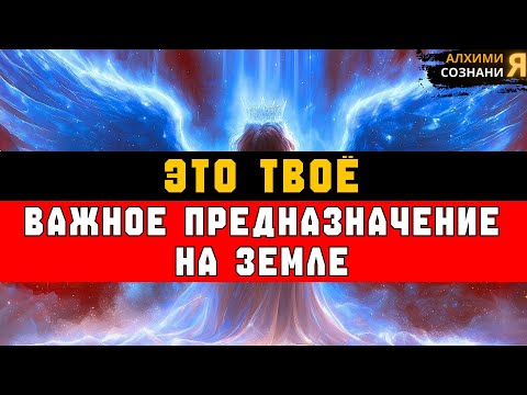 Видео: ИЗБРАННЫЕ, ЭТА МИССИЯ ОПРЕДЕЛИТ ТВОЁ НАСЛЕДИЕ — БОГ СКАЗАЛ: БЕЗ КОМПРОМИССОВ 🕊️📜