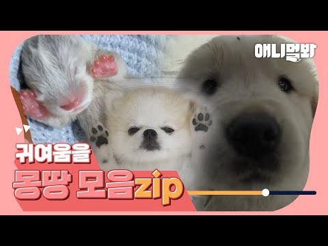 Видео: 💞Милый лучше всего💞Милый лучше всего💞Милый лучше всего..подробнее