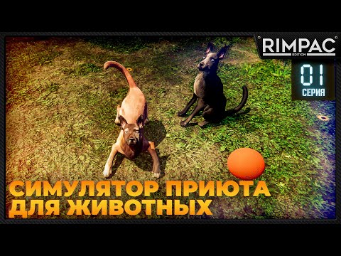Видео: Animal Shelter _ Симулятор приюта для животных! _ #1 _ Энимал шелтер игра