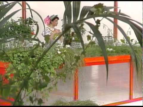 Видео: Бушава азбука - С