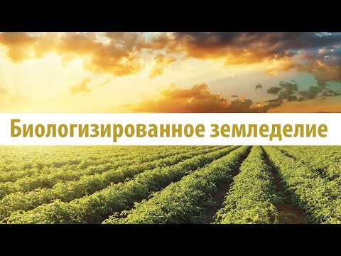 Видео: Как избежать метеонокаута. Австралийский и аргентинский No-Till