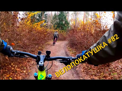 Видео: Рамсы за подрезание! ВЕЛОПОКАТУШКА #82