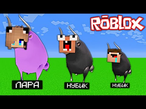 Видео: 2 НУБА И ДЕВУШКА ПРО ИГРАЮТ В СИМУЛЯТОР БЫКА В РОБЛОКС