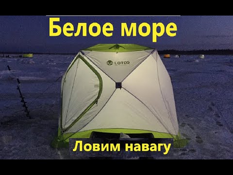 Видео: Рыбалка на Белом море. Ловим навагу.