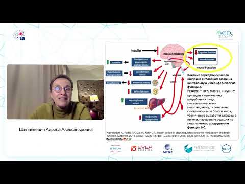 Видео: Инсулинорезистентность и когнитивная дисфункция: патофизиология. д.м.н., проф. Щепанкевич Л.А.