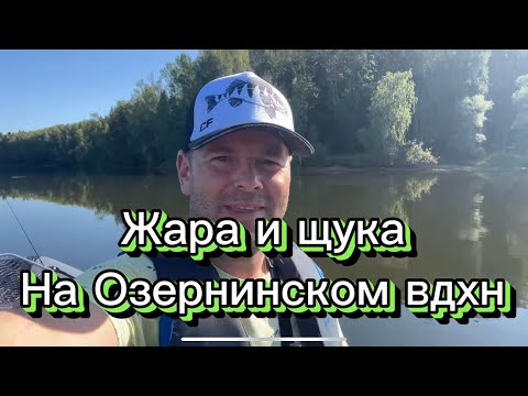 Видео: Щука и жара на Озернинском водохранилище!#эхолот #garmin #рыбалка #спининг