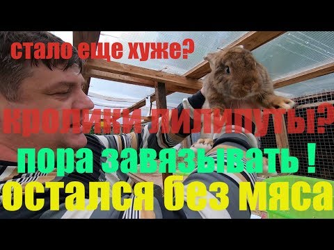 Видео: стало еще хуже?кролики лилипуты? пора завязывать !остался без мяса