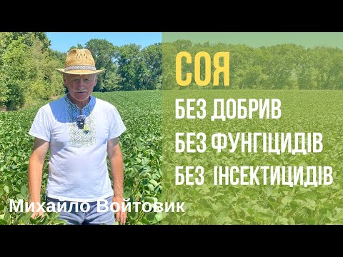 Видео: Як вирощує сою Михайло Войтовик
