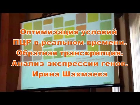 Видео: Оптимизация условий ПЦР в реальном времени. ОТ. Анализ экспрессии генов. Ирина Шахмаева. Ч. 1