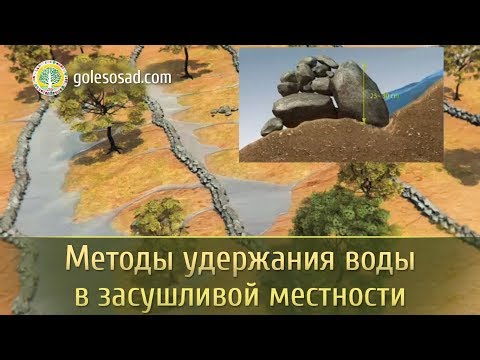 Видео: Методы удержания воды в засушливой местности!