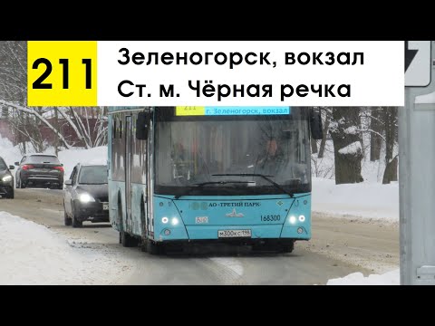 Видео: Автобус 211 "Зеленогорск, вокзал - ст. м. "Чёрная речка" (старая трасса)