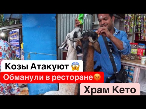 Видео: 20. Расплатились деньгами😱 Козы, собачки все тут. Храм Кету. Русакие в Индии. Паломнический тур.