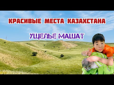 Видео: ЕДЕМ НА МАЕВКУ / УЩЕЛЬЕ МАШАТ/КРАСИВАЯ ПРИРОДА КАЗАХСТАНА