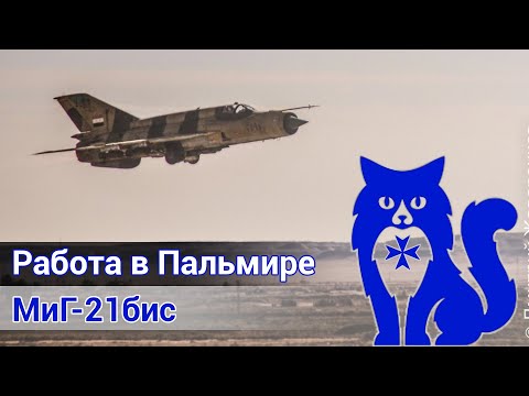 Видео: МиГ-21бис - Работа в Пальмире (DCS World Stream) | WaffenCat