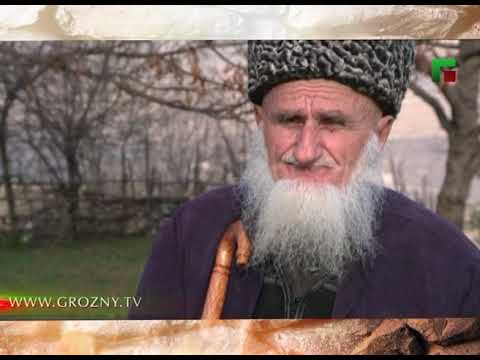 Видео: Эрсеной 2013