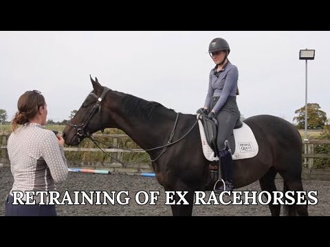 Видео: От ипподрома до манежа для выездки: удивительная переподготовка бывших скаковых лошадей 🤩🐎