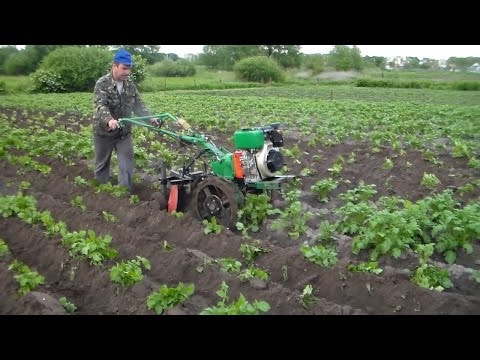 Видео: Дисковые окучники с регулировкой глубины. Вторая окучка