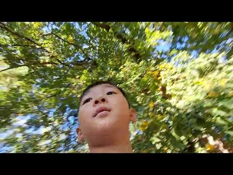 Видео: Я в зоопарке 2