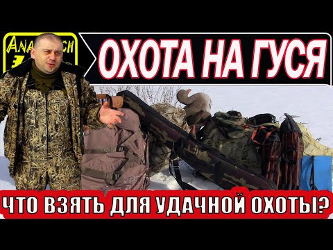 Видео: Охота на гуся! Что нужно взять для удачной охоты…