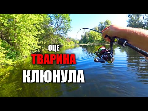 Видео: 🎯ЖЕРЕХ КЛЮЄ  ✅краще ніж головень на річці Псьол.Рибалка спінінгом в кінці літа