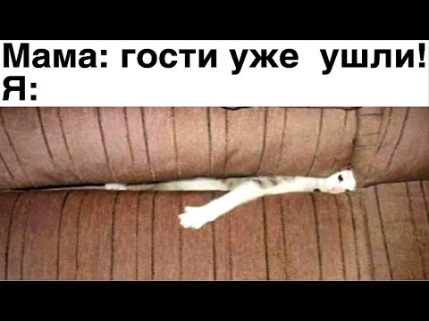 Видео: Свежие Мемы от Кабанчика 2