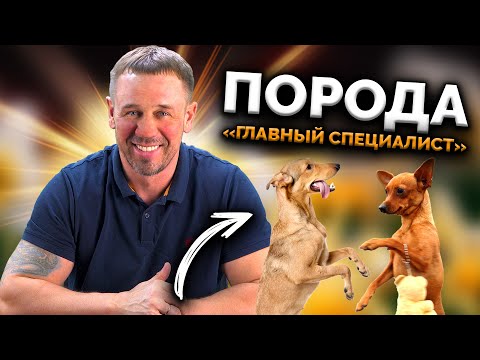 Видео: АЛЬФАБАНКОВСКИЙ ТЮБИК ДУМАЕТ ЧТО СТАРШИЙ! | БАНКРОТСТВО | Кузнецов | Аллиам