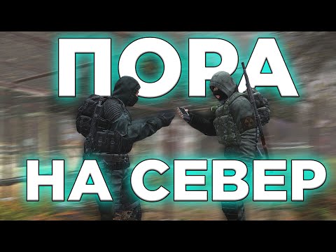 Видео: ЗОМБИРОВАННЫЕ на БОЛОТЕ в DayZone Stalker RP