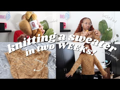 Видео: Я связала идеальную осеннюю водолазку за две недели | Влог о вязании №56