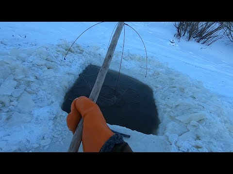 Видео: РЫБАЛКА НА ПАУК!!! ЭТИ КАБАНЫ НЕ ДАЮТ СЕБЯ ВЗЯТЬ. МАКС МЕНЯ ОБЛОВИЛ. ПОПАЛСЯ ЗЕРКАЛЬНЫЙ КАРП.