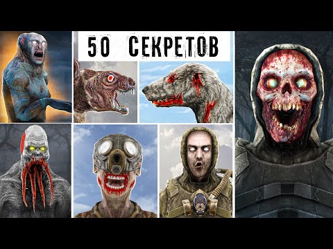 Видео: 50 Интересных ФАКТОВ - МОНСТРЫ stalker