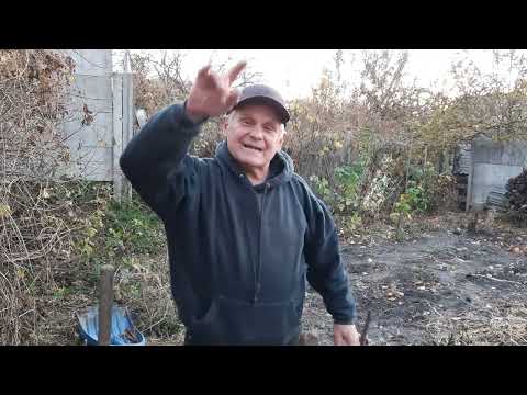 Видео: Как укрыть виноград на зиму, учитывая особенности виноградного куста