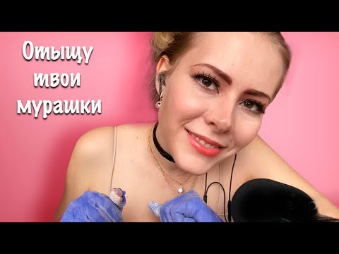 Видео: АСМР раскопки мурашек