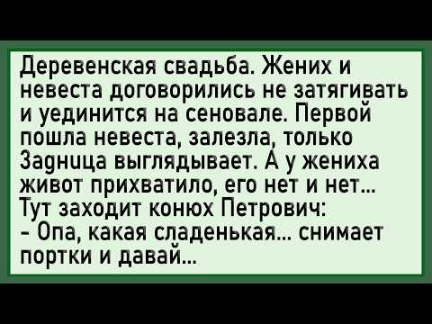 Видео: Как конюх невесте 3асаguл! Сборник свежих анекдотов! Юмор!