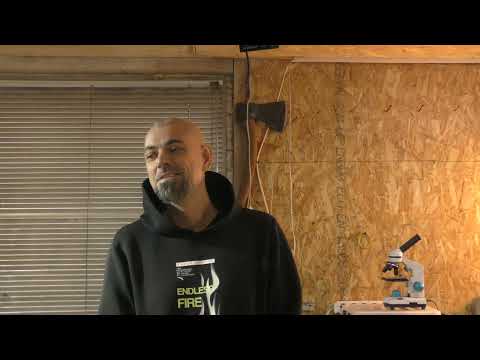 Видео: Формирование цены у ремесленников (кузнецы, кожевники, столяра и т.д.)