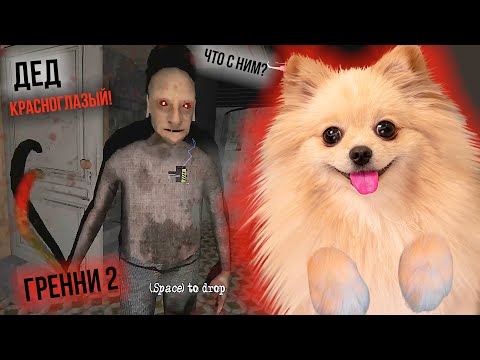 Видео: ЧТО С ДЕДОМ ГРЕННИ ? ГРЕННИ 2 |  GRANNY 2 часть
