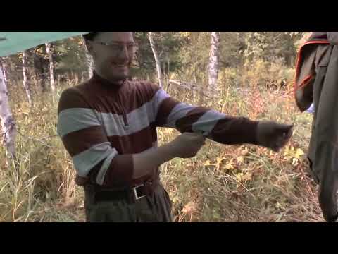 Видео: за гиганским хариусом через перевал Дятлова река Ельма , квадро поход 2 часть сентябрь 2023 года