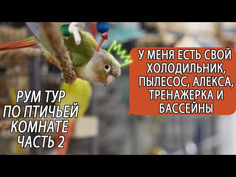 Видео: РУМ ТУР ПО ПТИЧЬЕЙ КОМНАТЕ ОБЗОР ВСЕХ ИГРОВЫХ СТЕНДОВ ФУРАЖИЛОК  МОИХ ПОПУГАЕВ