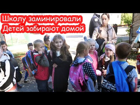 Видео: VLOG Заминировали школу