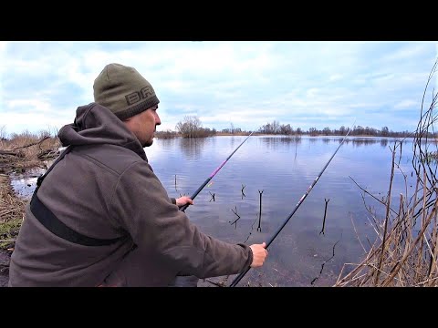 Видео: Карась Прокинувся. Ловля Карася Весною